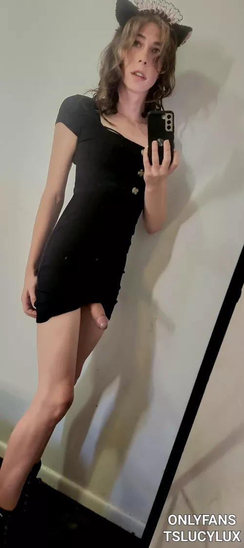 Are kitty cat sissys welcome here? by TS-lucyxo