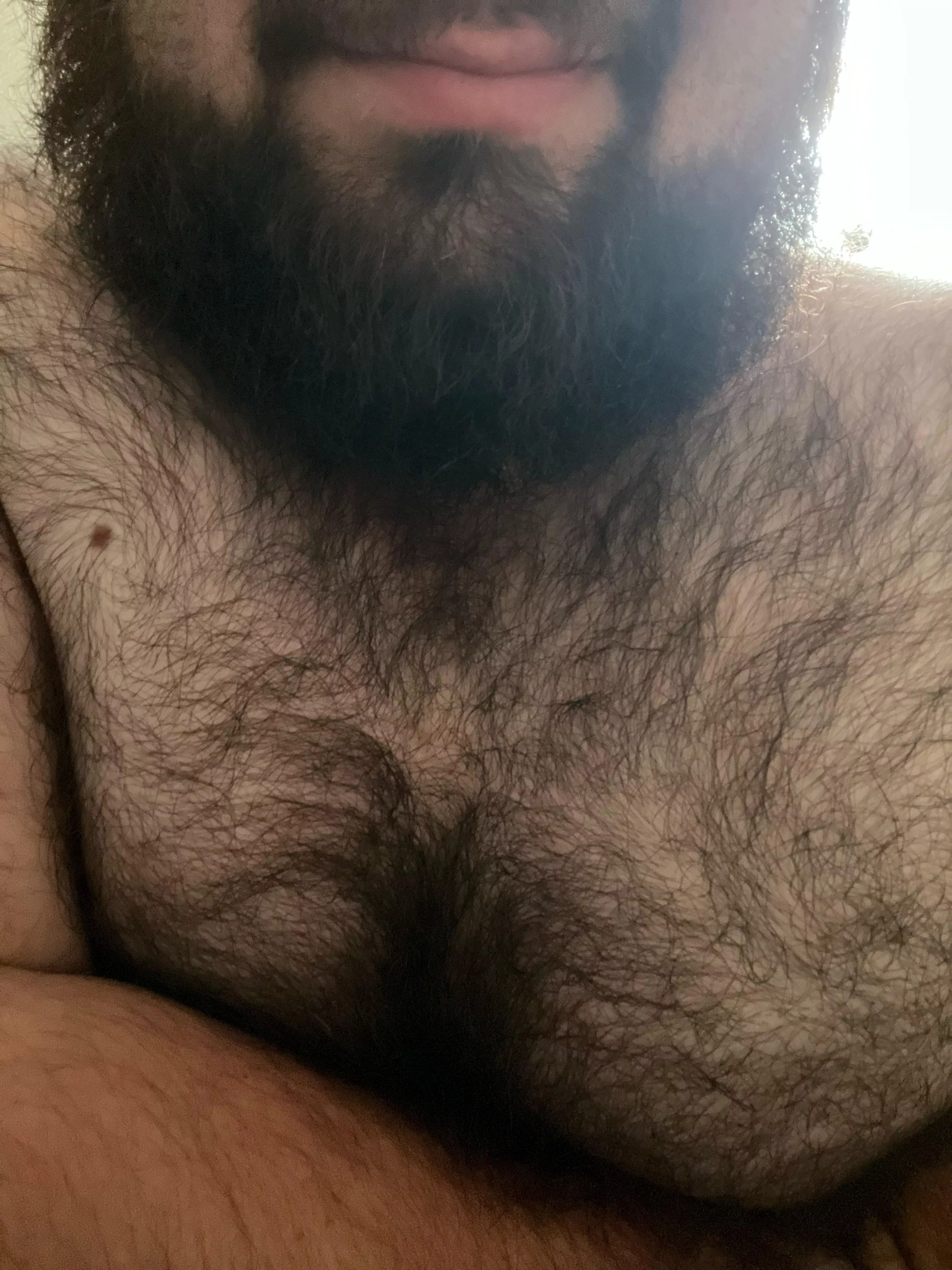 Black as night when you get into the thickest parts of the forest. posted by Sweet_tea991