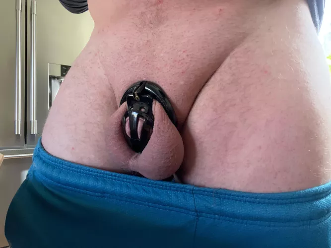 Day 9 with no future of getting out 🥰 wife has been torturing the shit out of me too 🥵 by Bigs105