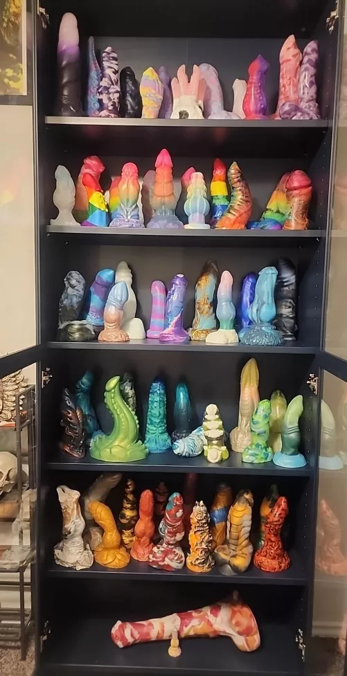 Finished the New Dick Shelves! by Lapras_Lass