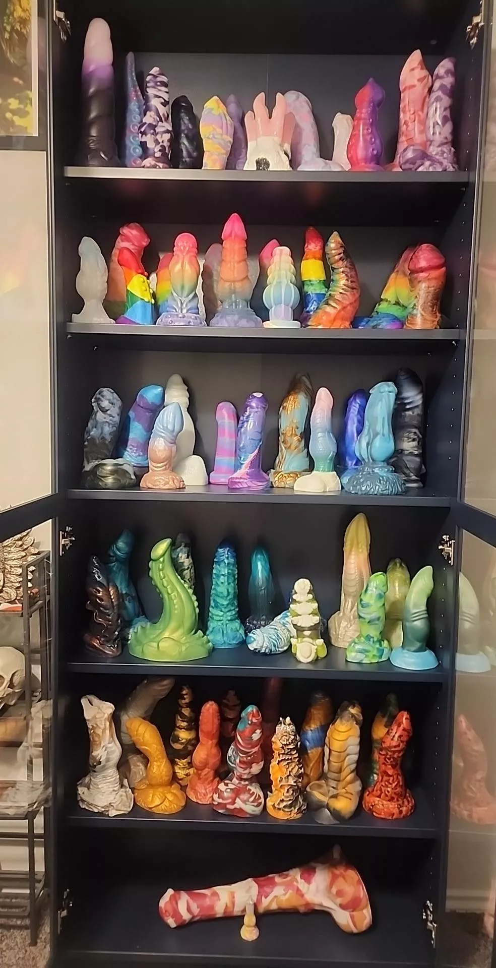 Finished the New Dick Shelves! posted by Lapras_Lass