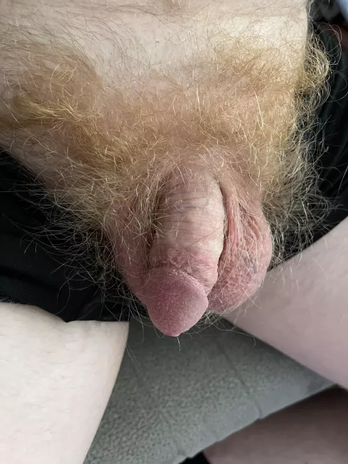 Fire bush still growing! by Sweetfeet1988