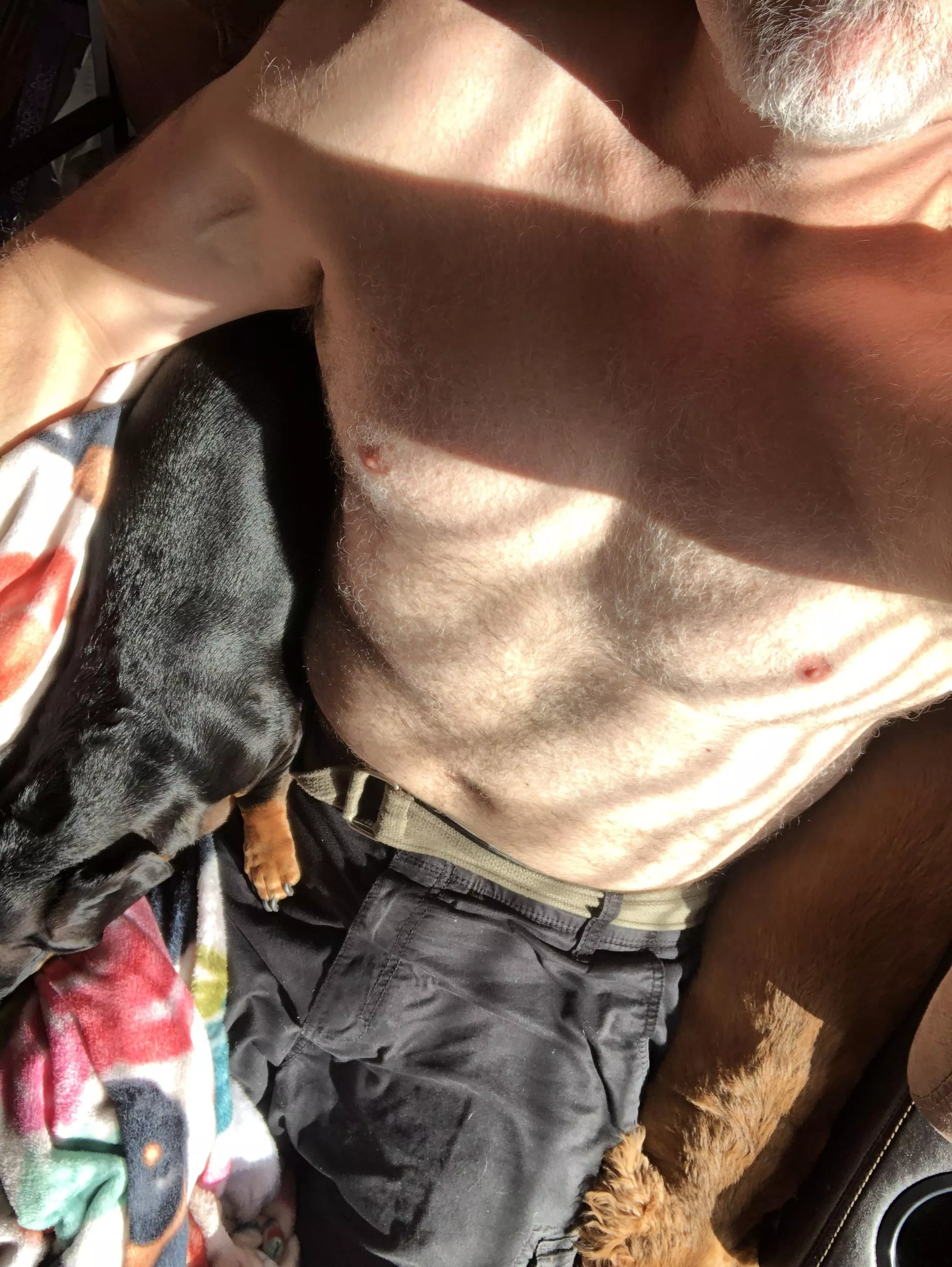 Furry pic posted by No-Resolution2159