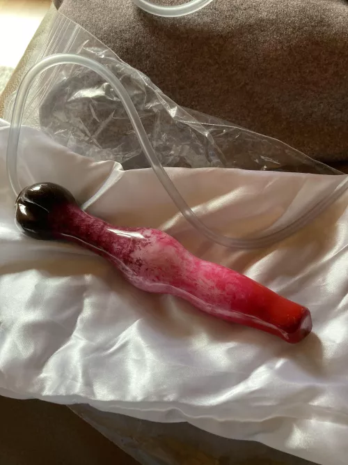 I hope my GF will be happy by CryptographerNeat847