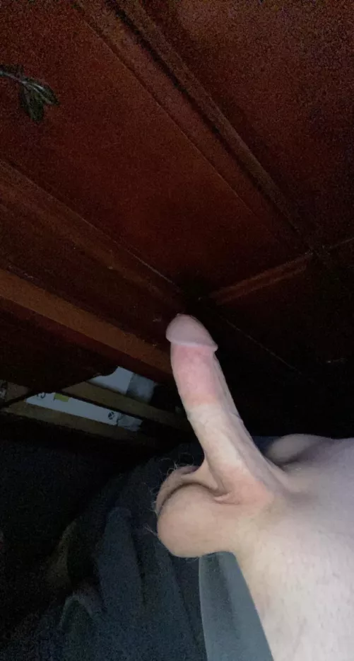 Looking to bend you over😏 by crystaljames155