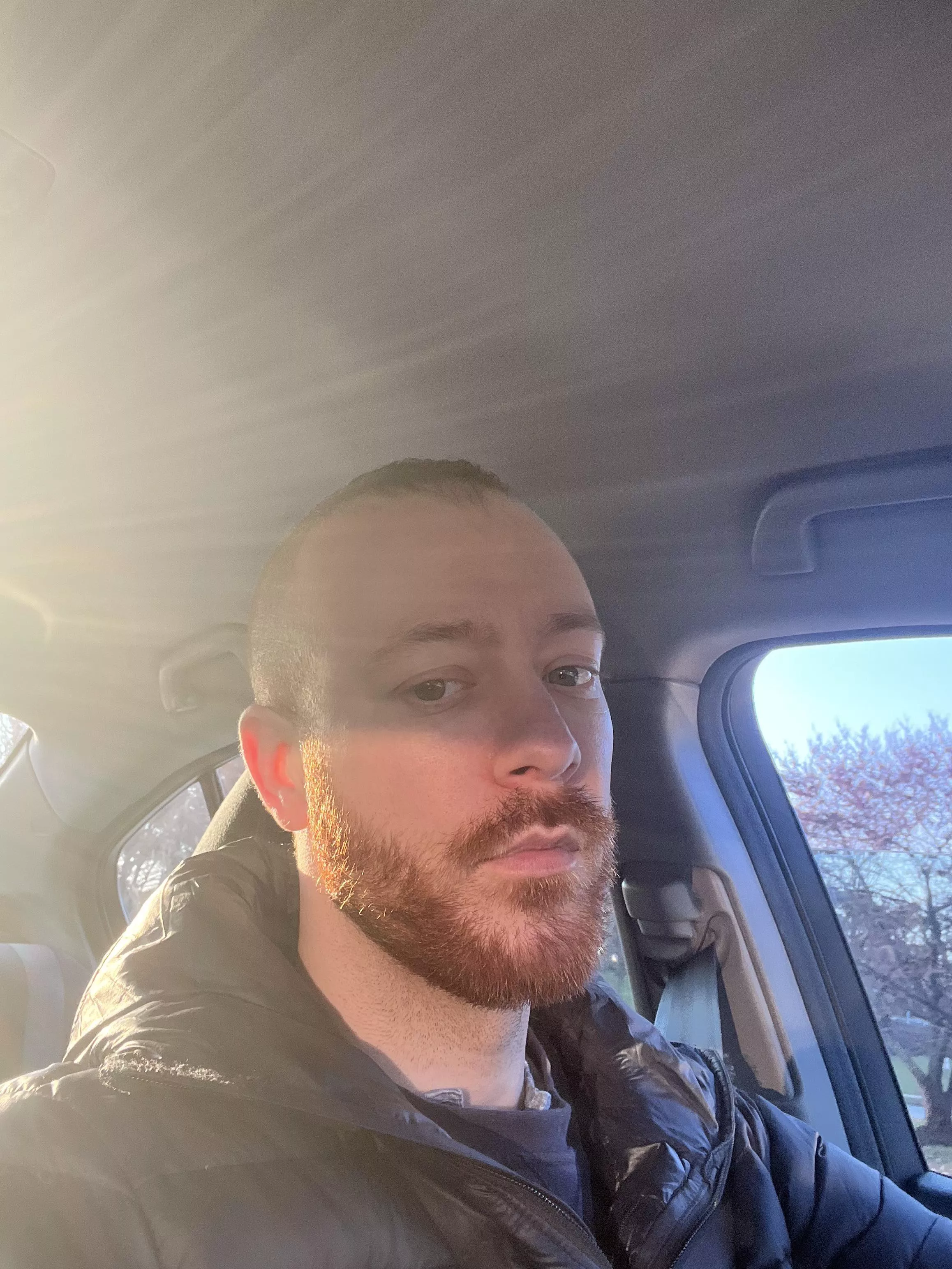 Morning 👋 posted by fascinogenic