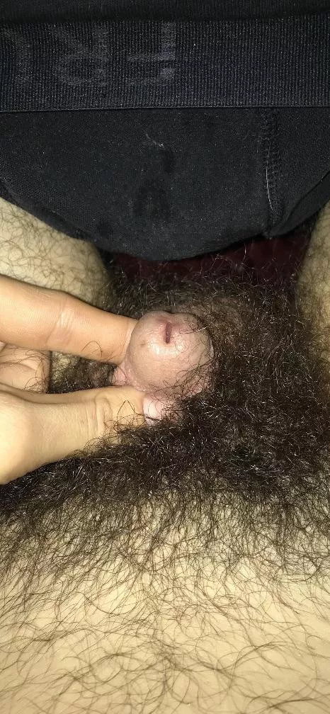 My wife had no choice but to cuck me and have another guys kid. posted by rockkic