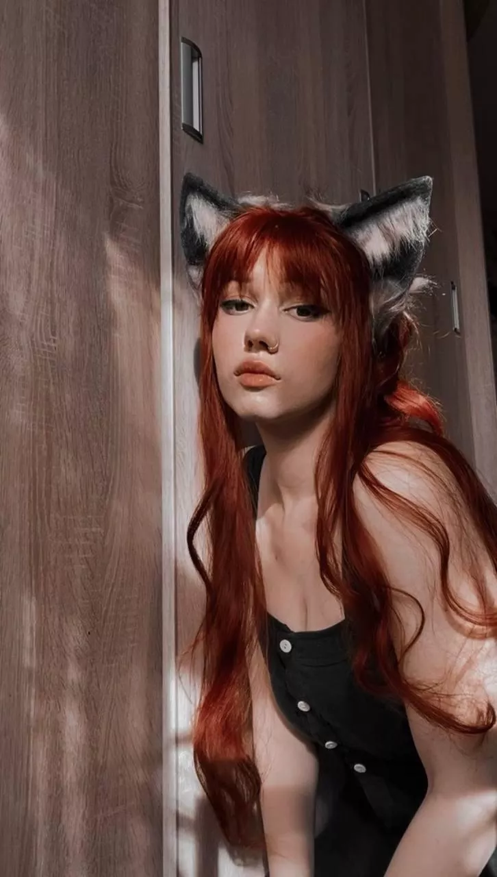 Pet me ☺️ posted by Luna_foxie