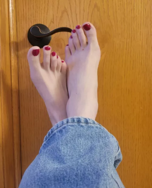 Reddy to open by mytoes4u