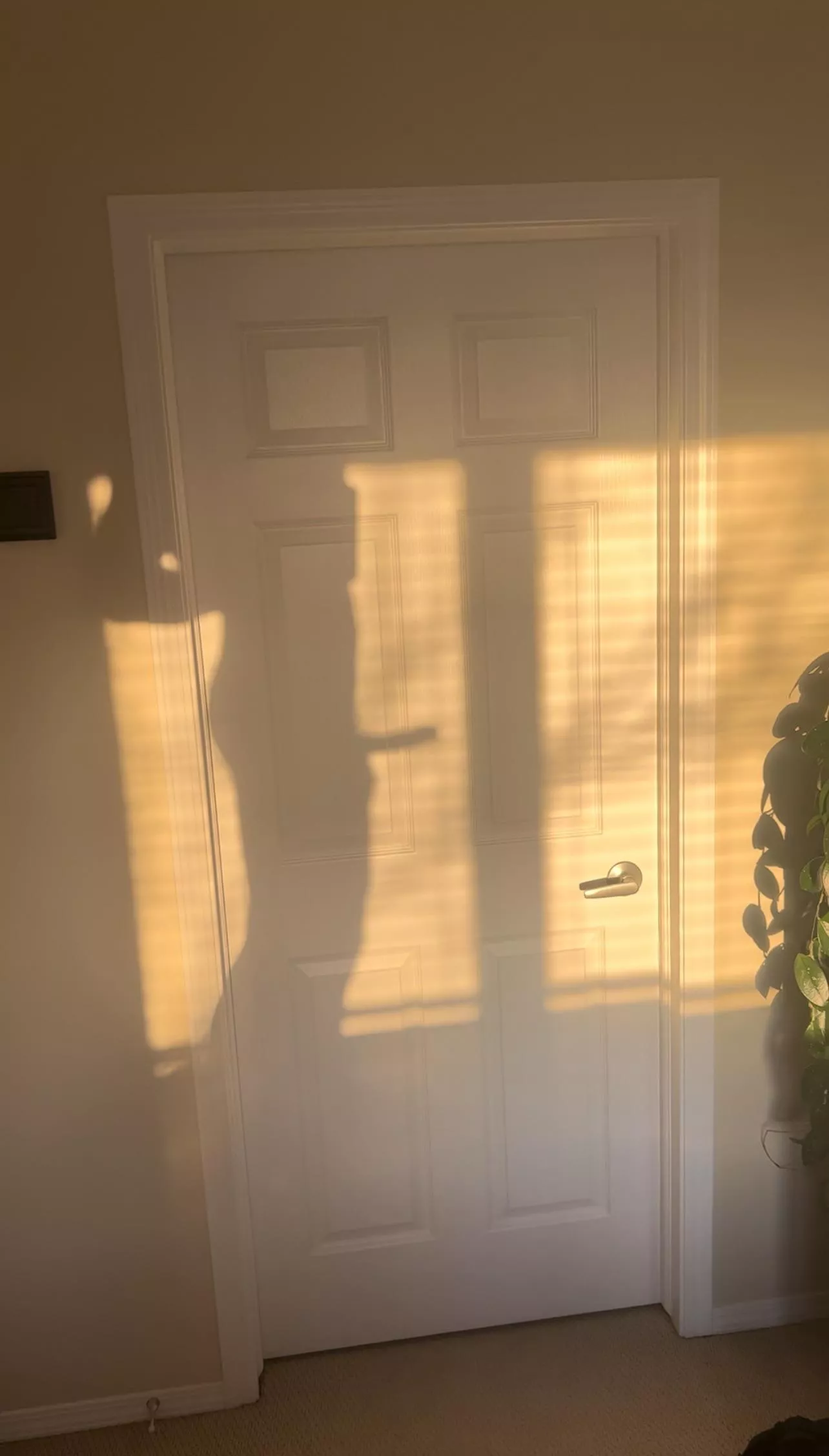 Rock hard, who’s ready to serve posted by tatertwunk