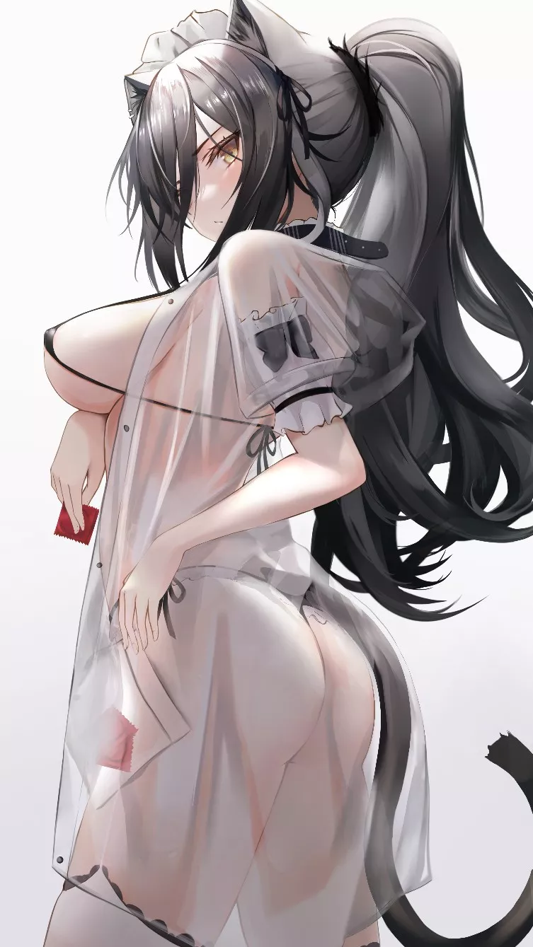 Schwarz [Arknights] posted by CheetahSperm18