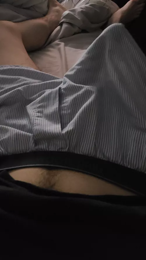 See something you like? by calmfurcoat