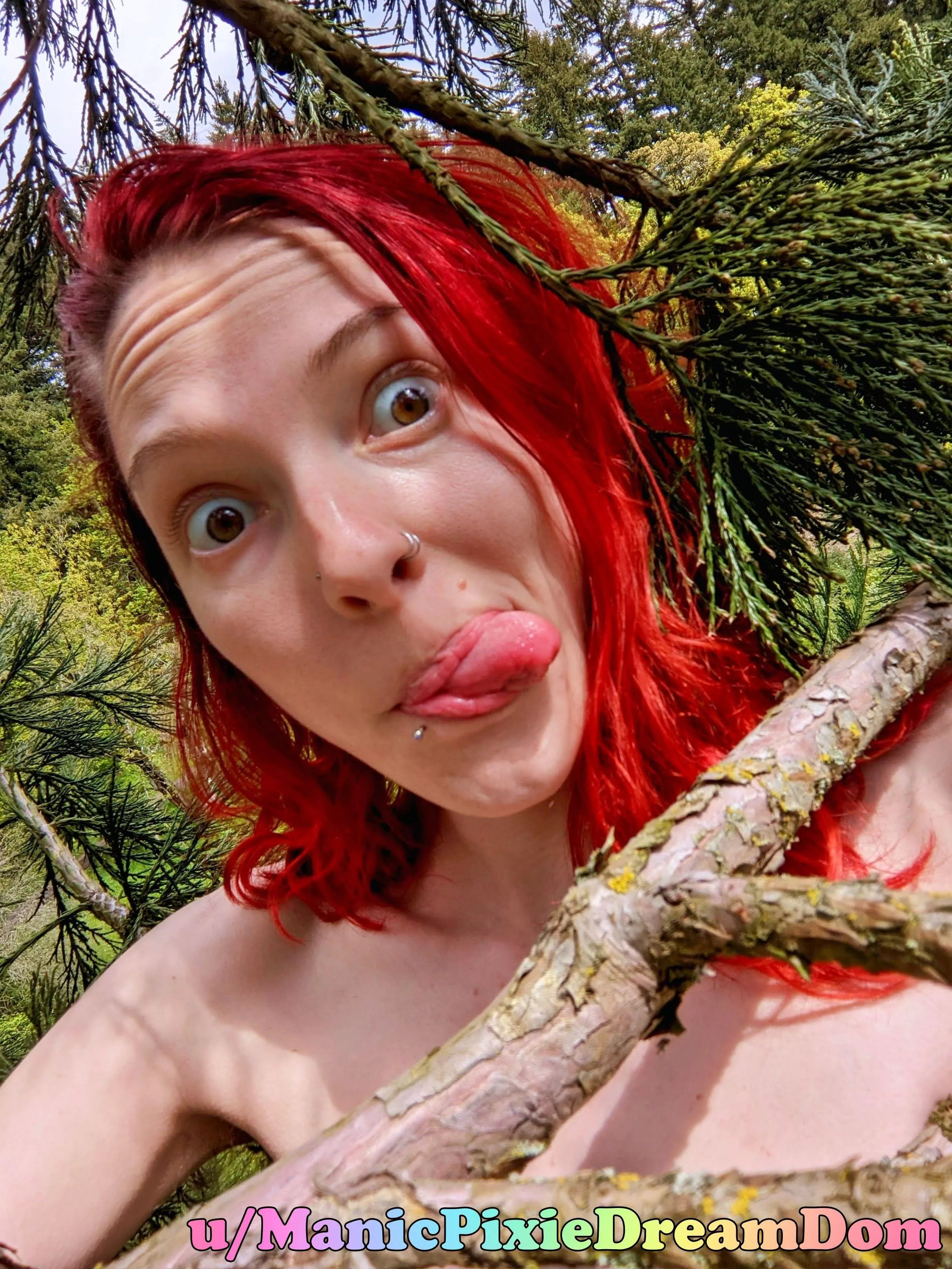 Slut in a tree 😆 posted by manicpixiedreamdom