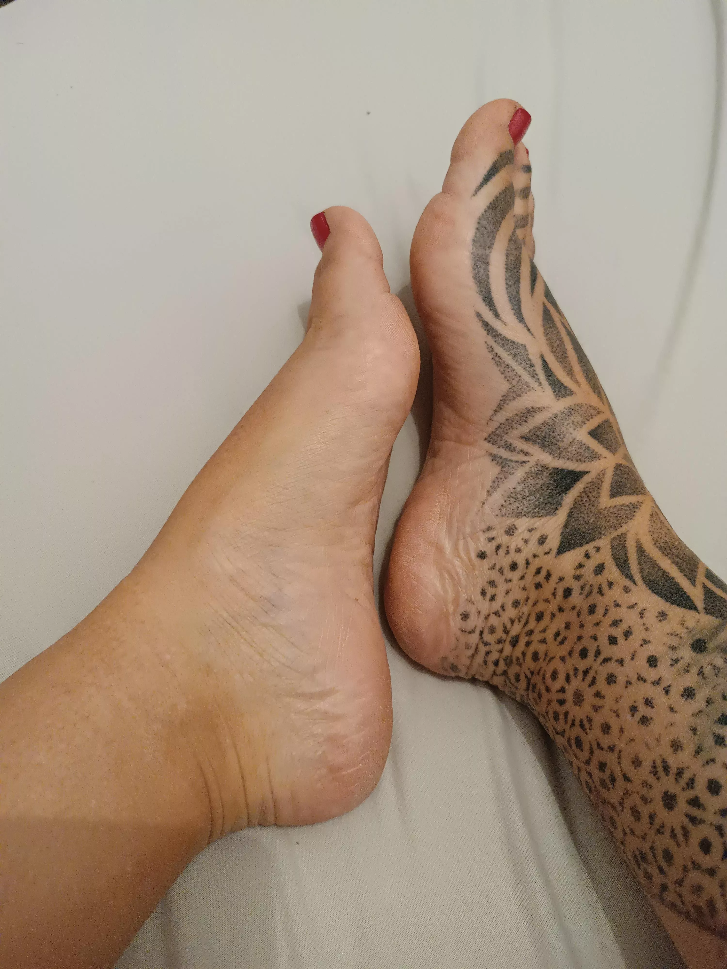 someone needs to take care of them posted by Kendra_malta