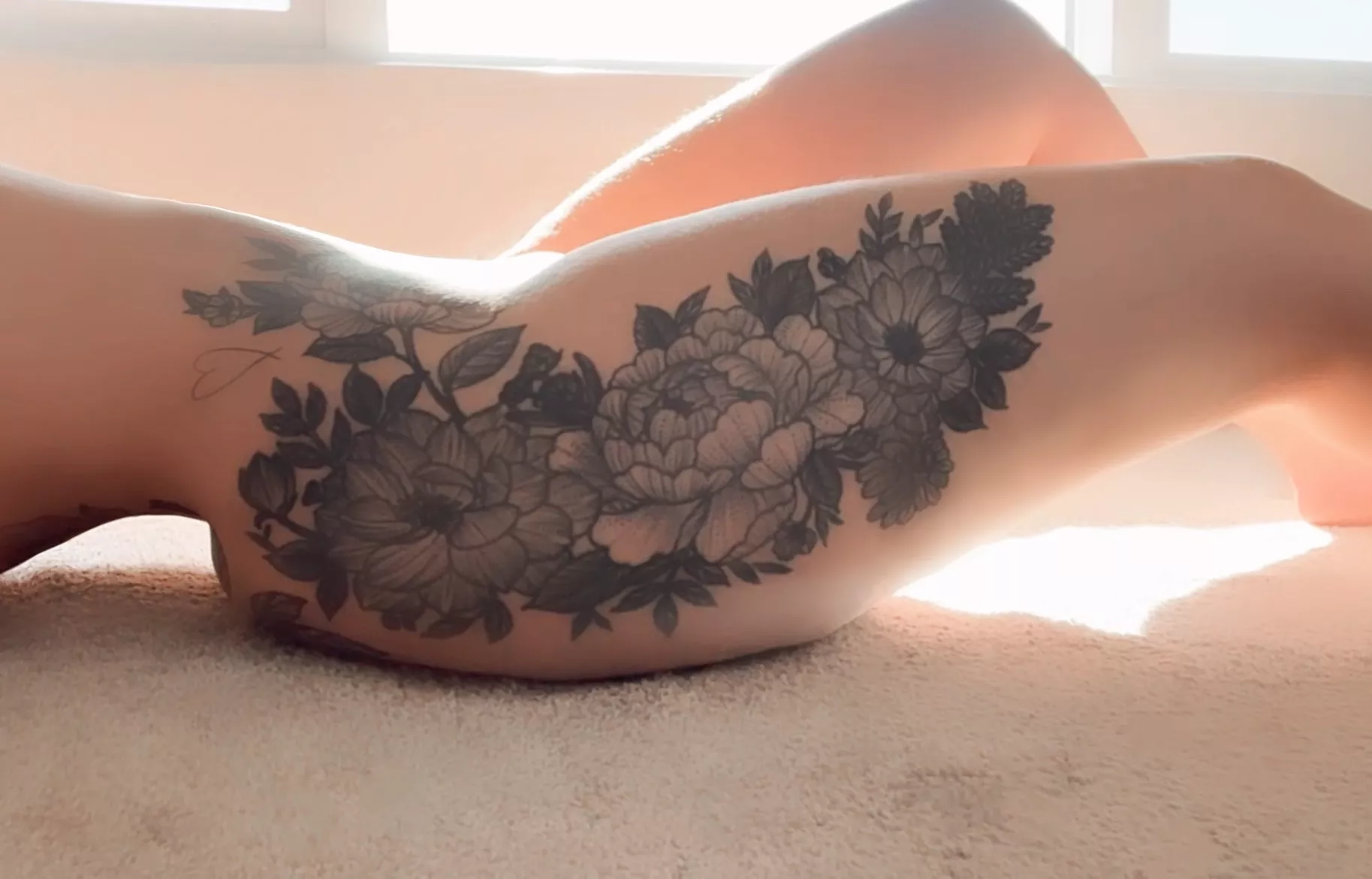 sunbeams and gardens posted by olivefg