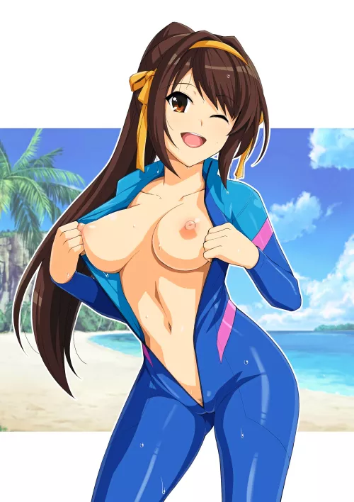 Suzumiya Haruhi Unzipped Wet Suit ( Haruhisky ) [Love Live!] by sequence_string