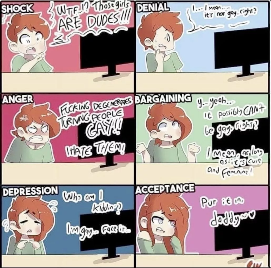 The Six Stages Of Sissy posted by throwawaybwc4u