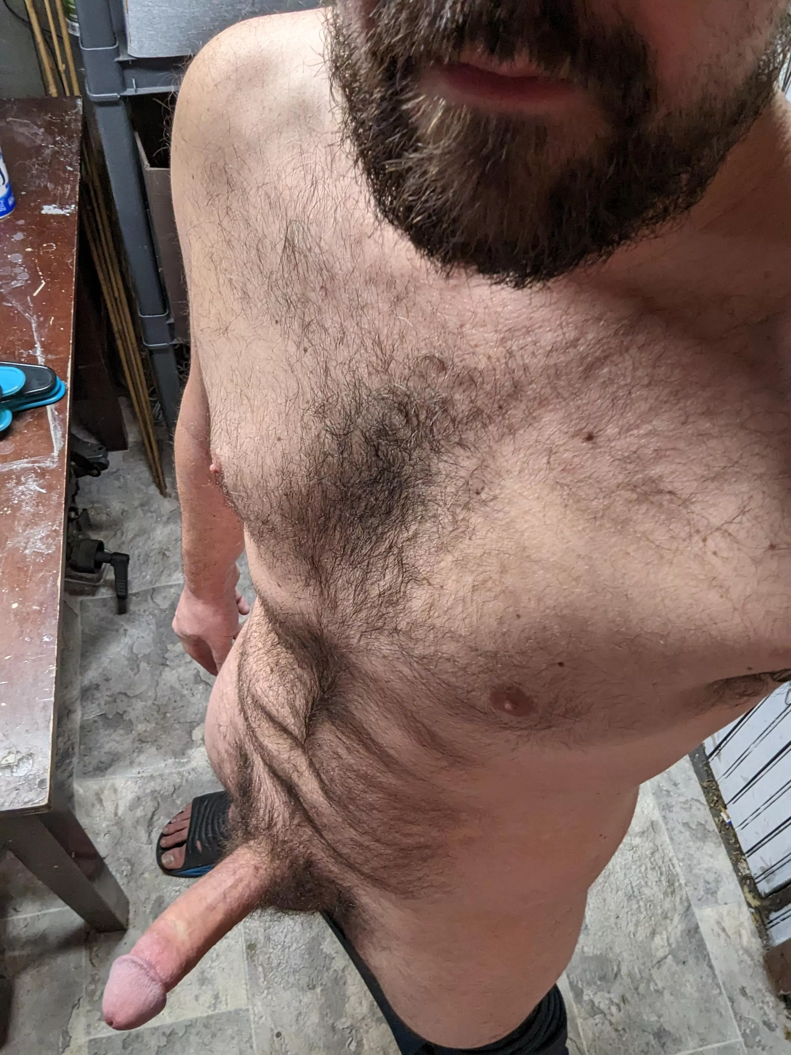 Tired of boring sex? Come over. (37) (m) posted by yourbeardedneighbor