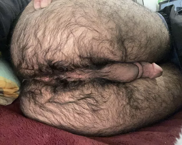 What would you do to me😋 by hairyboypussy