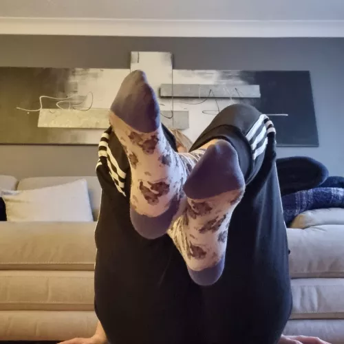 wish you could smell these 🤤 by SweetSocksStudios