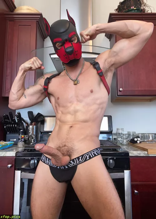 Woof 🐾 by 11JNF4jWjVJyVjK74j