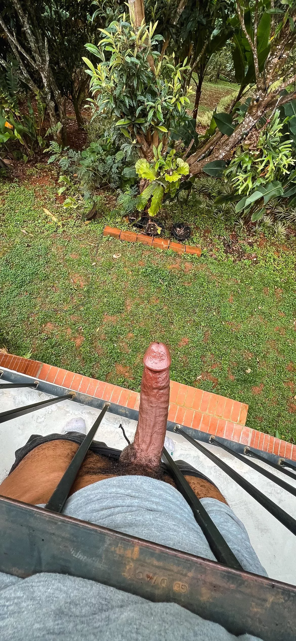 Would you stop and stare if you saw my black cock in public? posted by nudepixtures