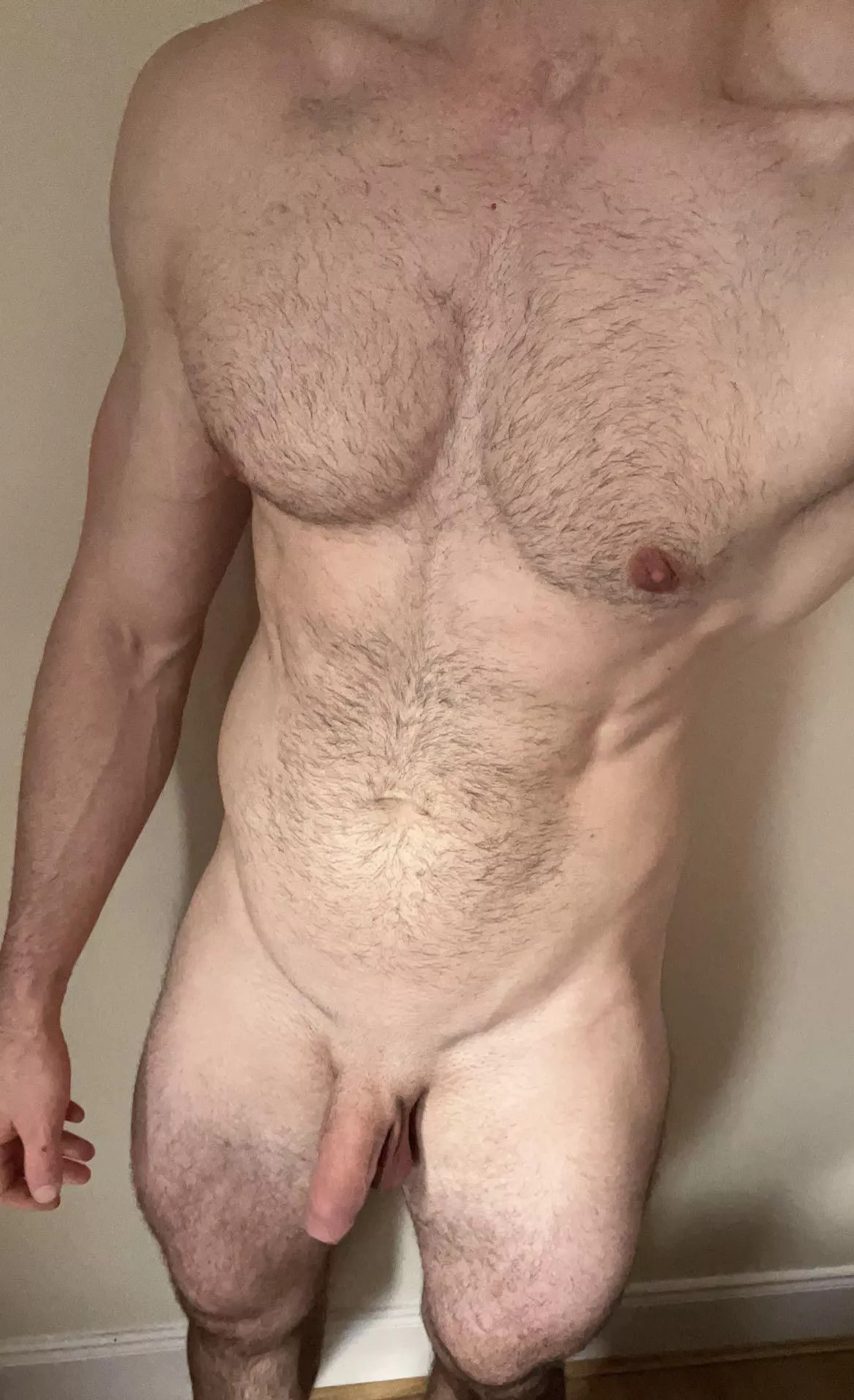 You’re desperate for some action and I turn up like this - how are you planning to making me erect? posted by thathotscotsman
