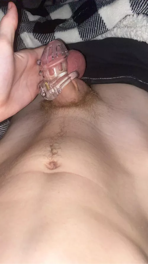 20 woke up hard asffff by Ordinary_Emu_8927