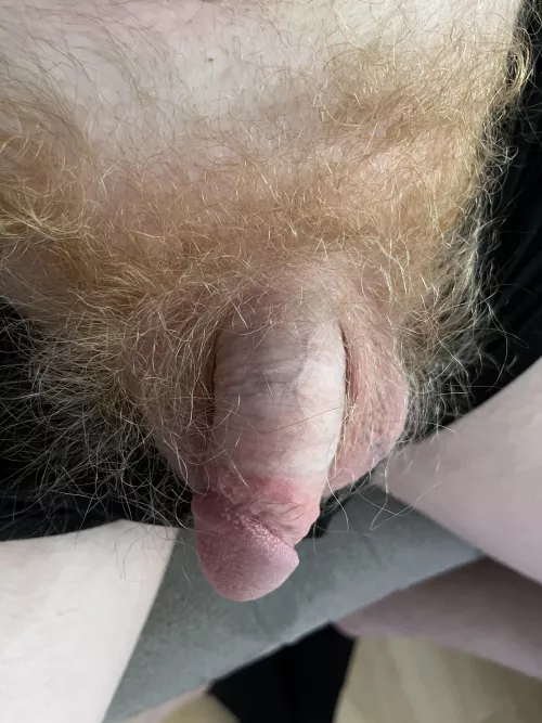 35 years old ginger by Sweetfeet1988