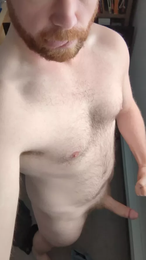 Cub or Bear? (31M) by yupitISathrowawayhuh