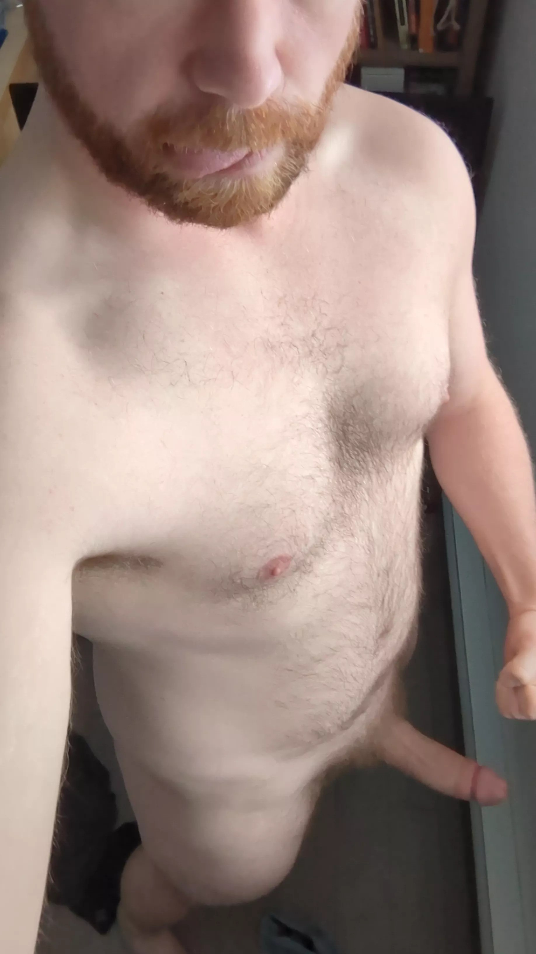 Cub or Bear? (31M) posted by yupitISathrowawayhuh