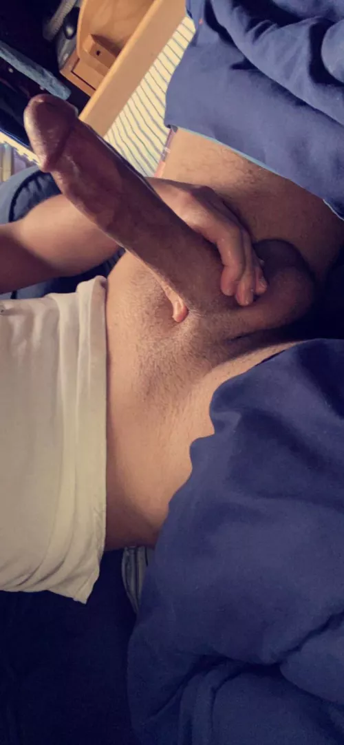 Do you like my big cock? 🍆🥵 by websavajo