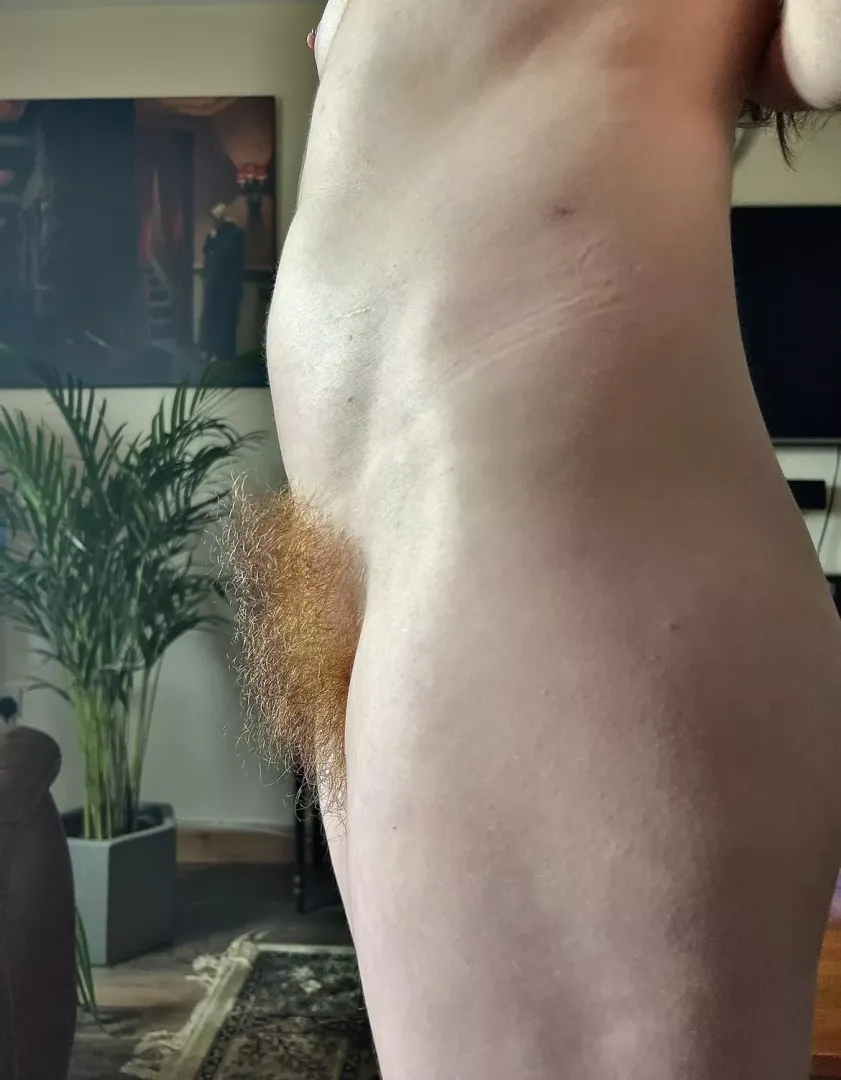 Do you like the view from this side? posted by Many-Aioli688