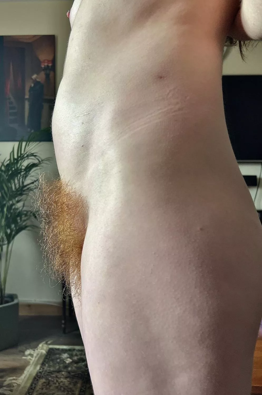 Does my ginger bush turn you on? posted by Many-Aioli688