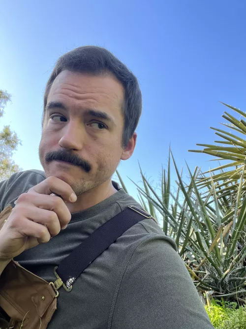 Good morning y’all by Movesbigrocks