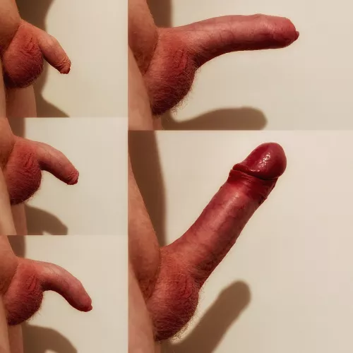 Have you seen a grower like this before? by Intelligent-Owl4477