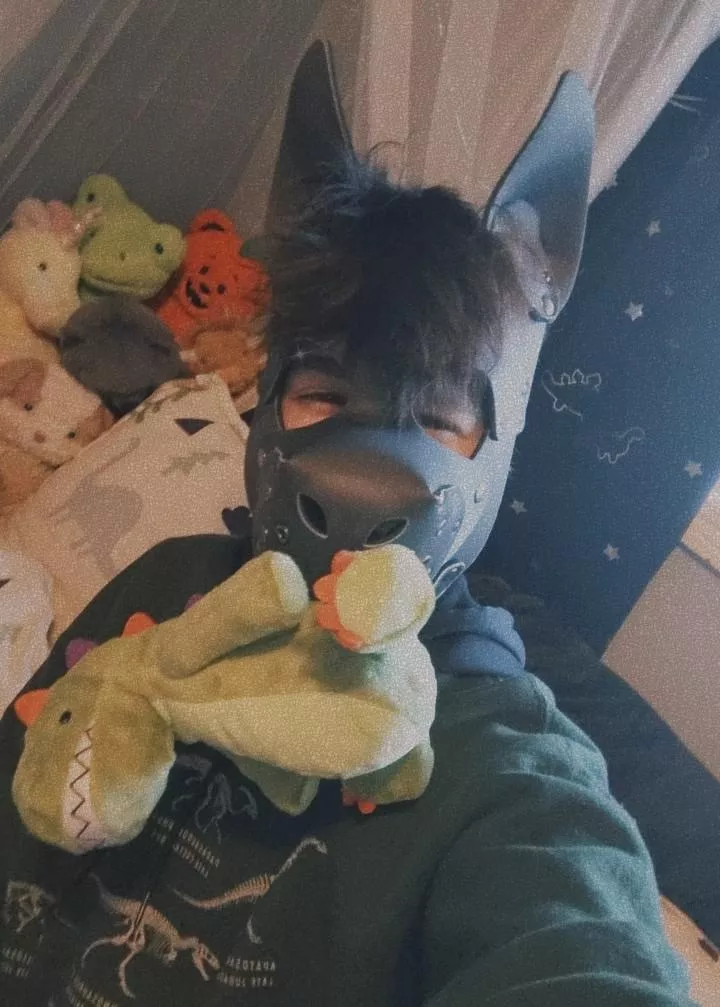 I got my Dino!! 🦖🦕 posted by paddedpup_