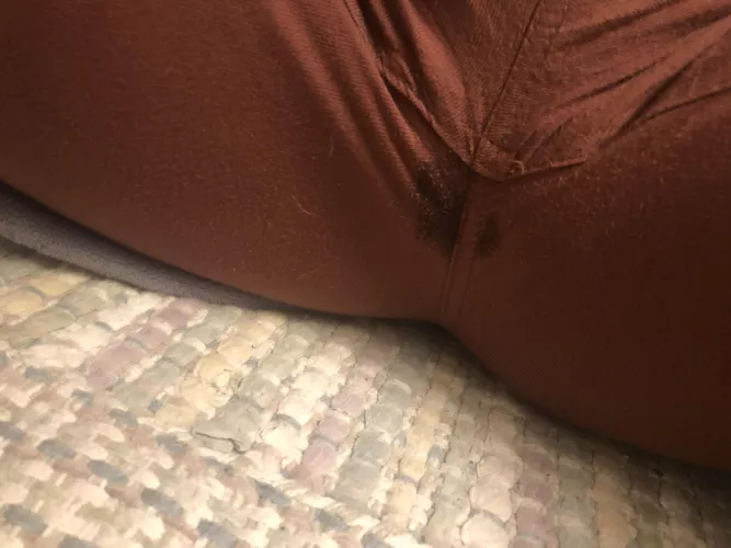 I had a pretty intense wet dream last night 😅 by Omphidian