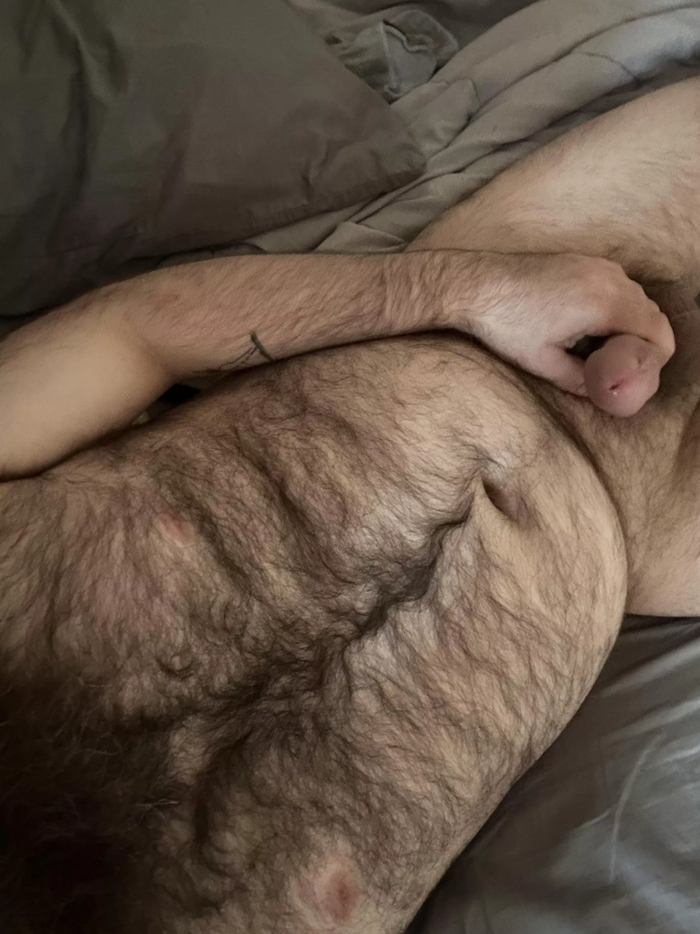 Let’s play posted by bigrredbeard123