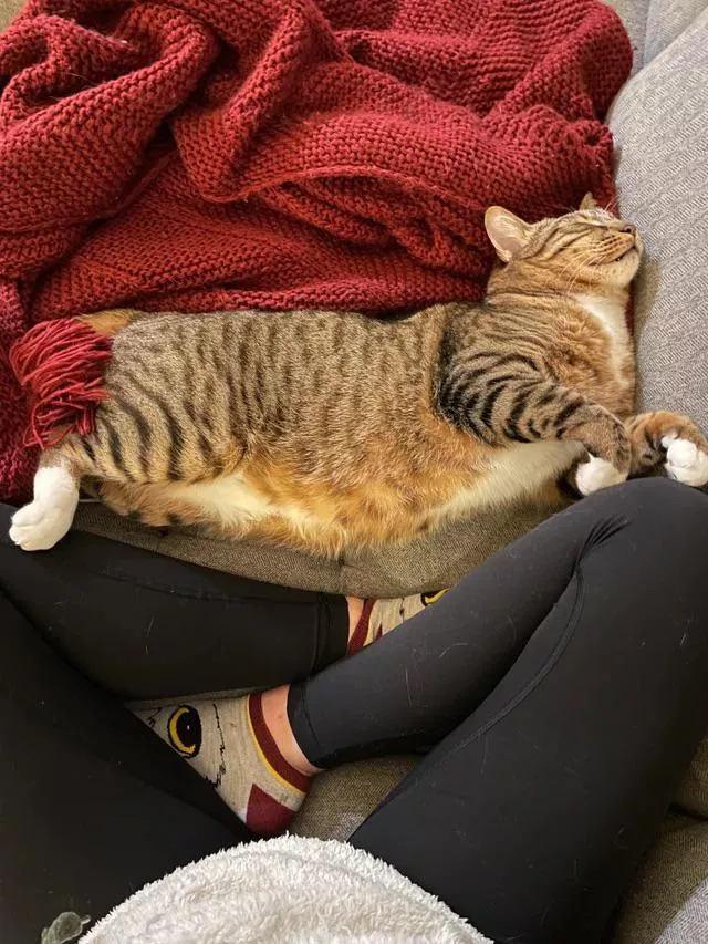 Look at my hairy pussy posted by National-Ad-4194