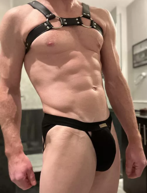 Looking for feedback? How does this combo work for you? by CaptainMauser1