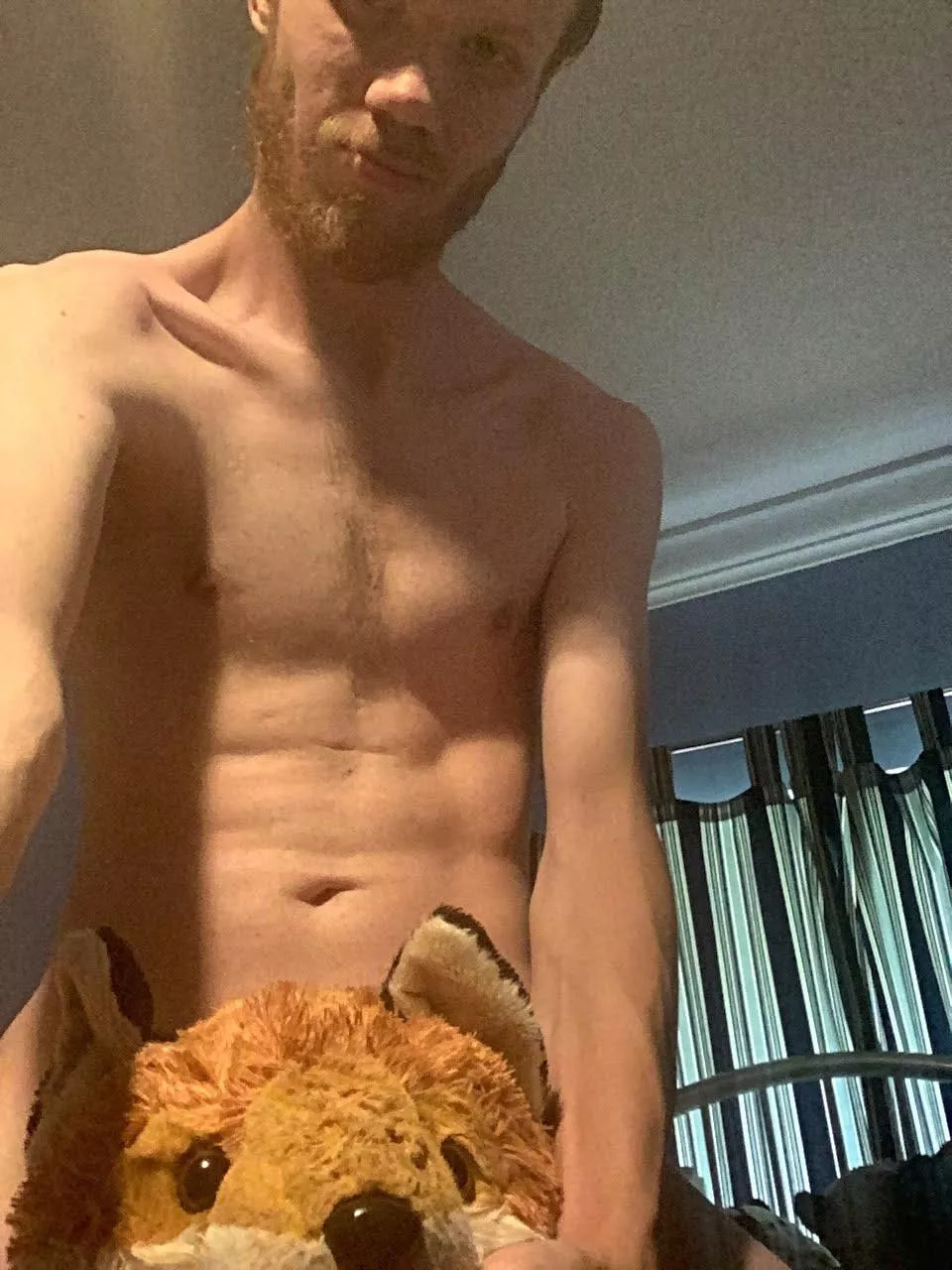 Me and my fox says good morning to you guys! posted by Lanevosudo