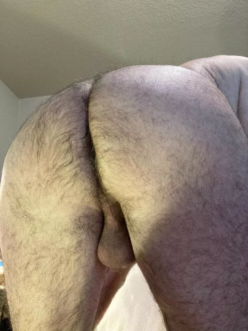 My hairy ass posted by Mikalnpdx