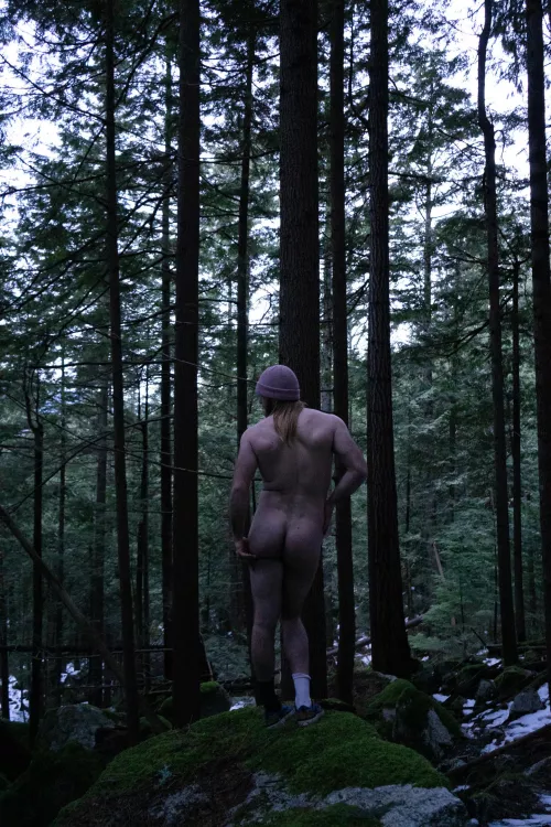 nice little shoot in the forest by microman715