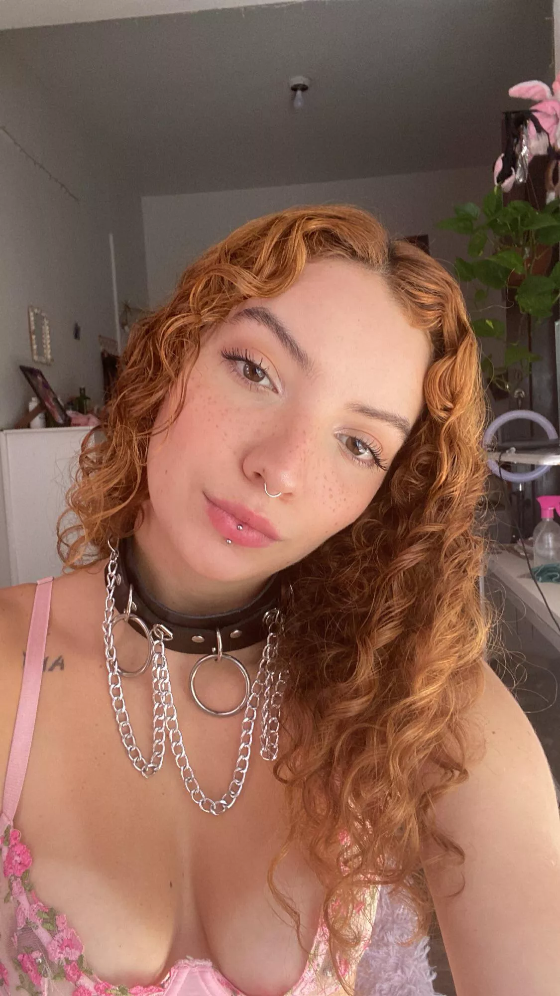 Planning on going out tonight posted by Putrid-Position3974