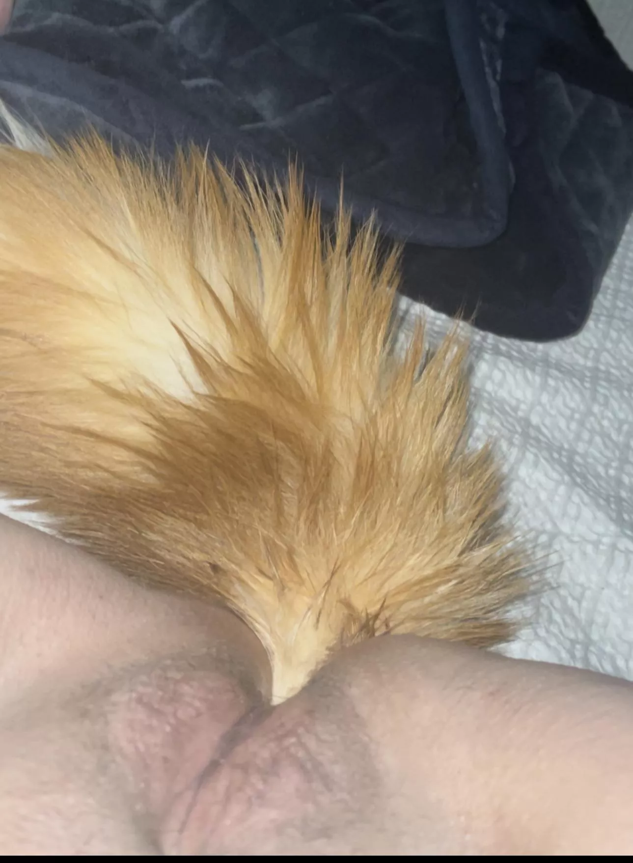 Plugged and ready to receive posted by HistoricalParsley279