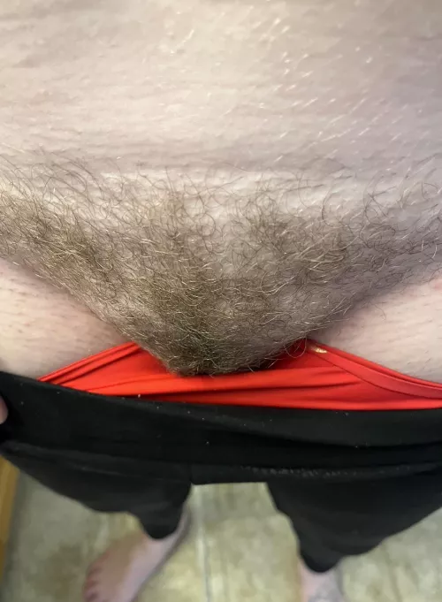 Saturday morning yoga bush by hornycanadianmilf