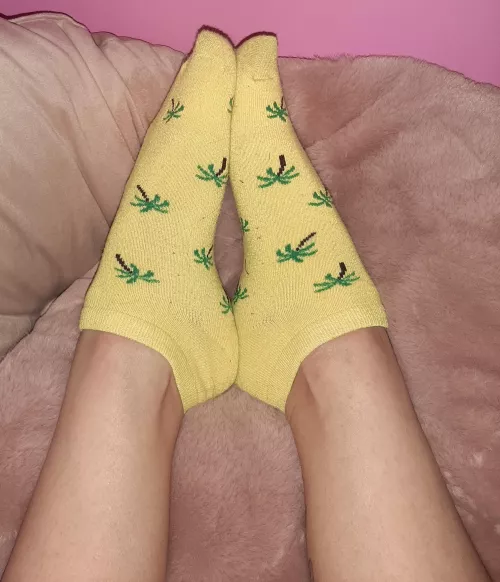 smelly little socks by likemypanties