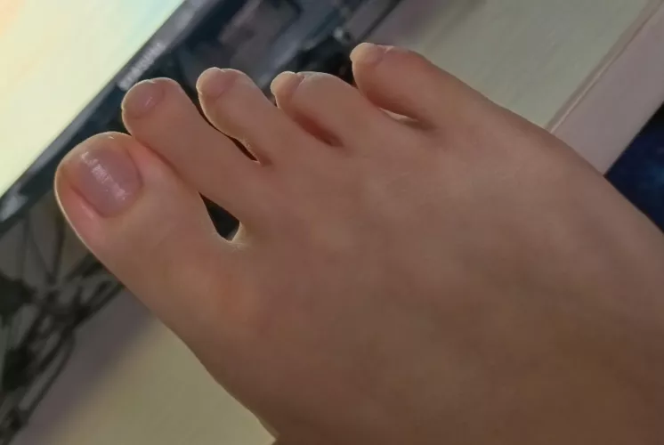 So far, I will give you only one leg, and 5 fingers!😏♥️ by Annual_Act_3709