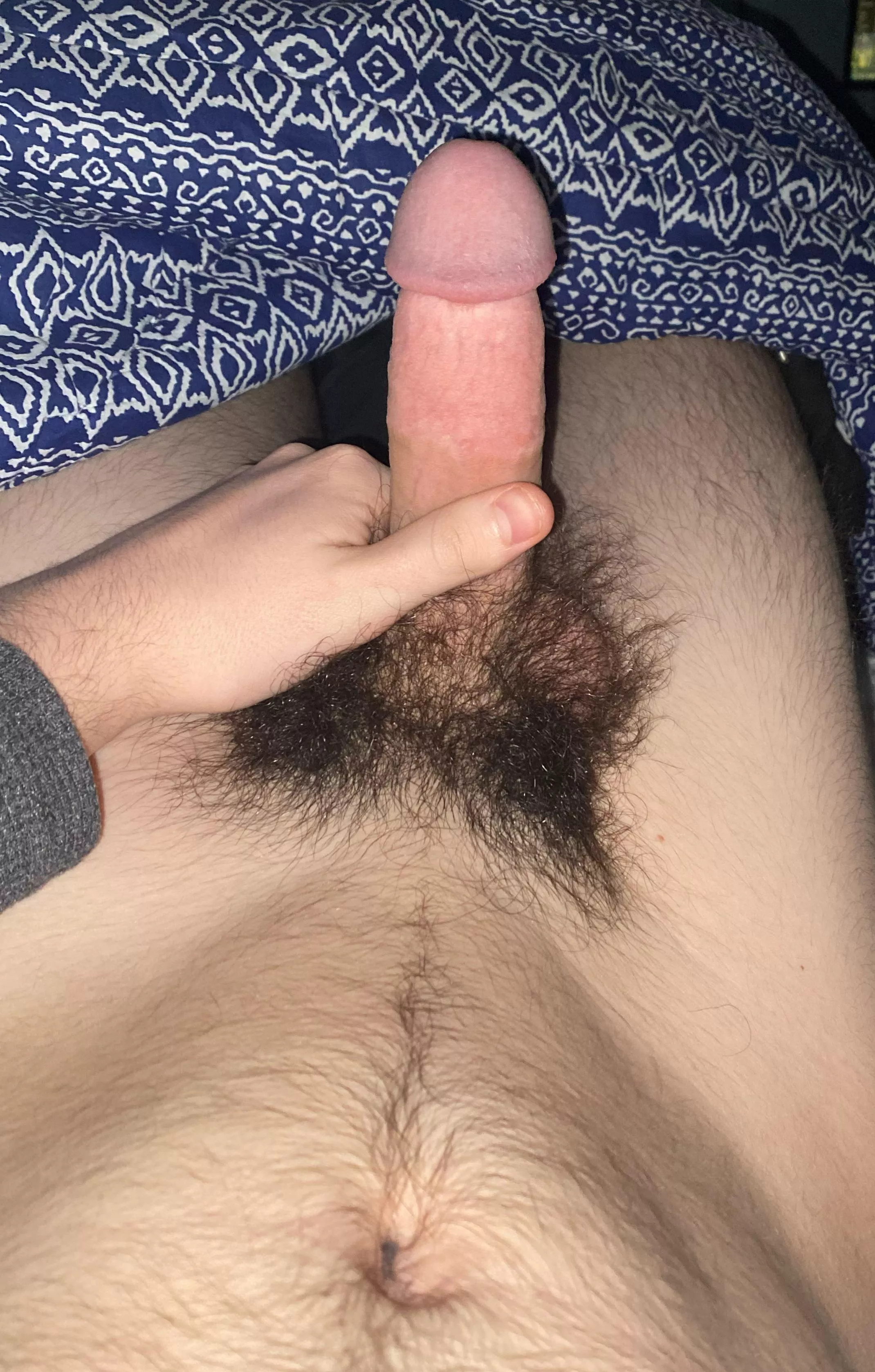 Thoughts on my bush? posted by radunner